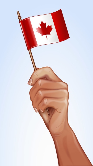 Canada Day Small Flag