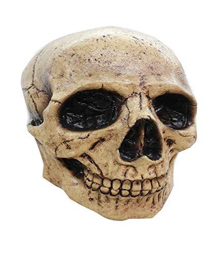 Tan Skull 3 Head Mask
